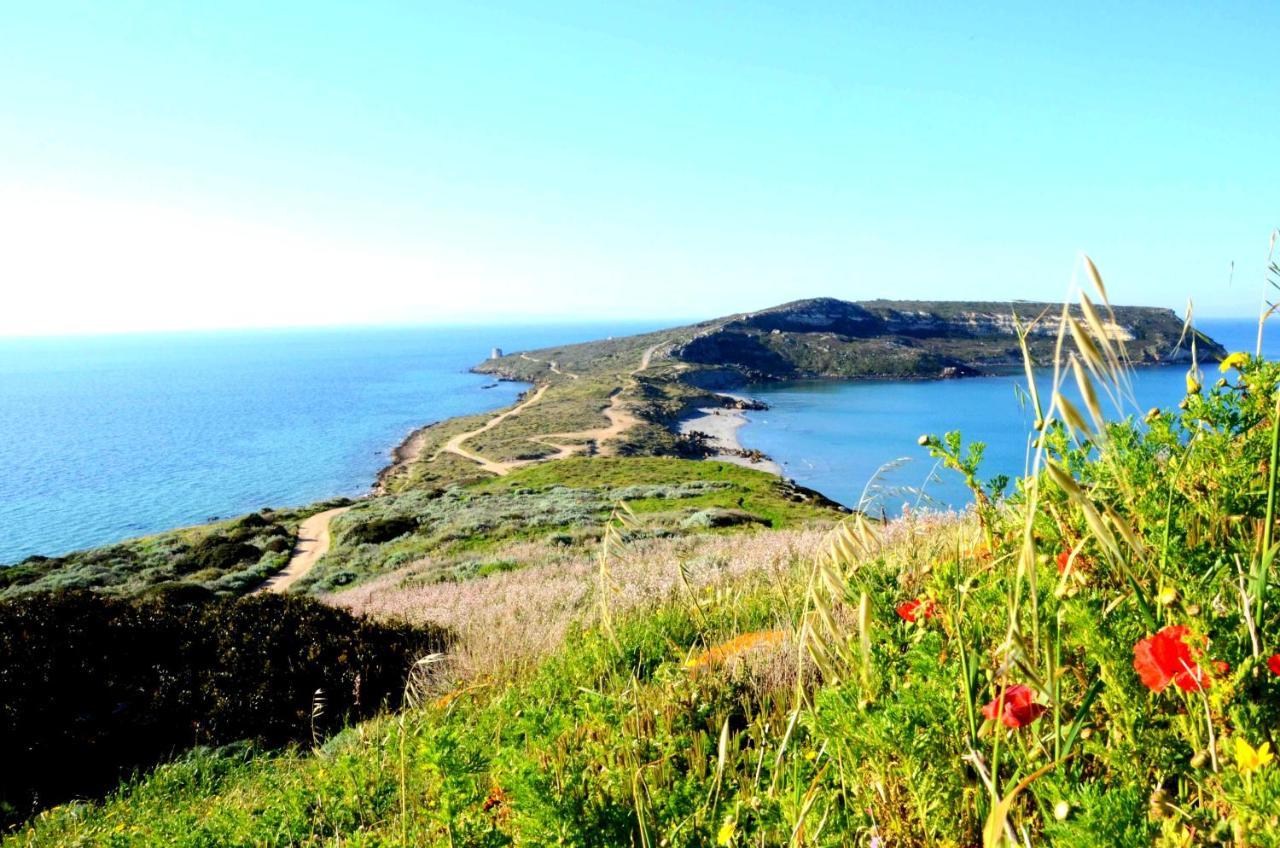 Agriturismo S'Incant'E Sinis San Salvatore  外观 照片