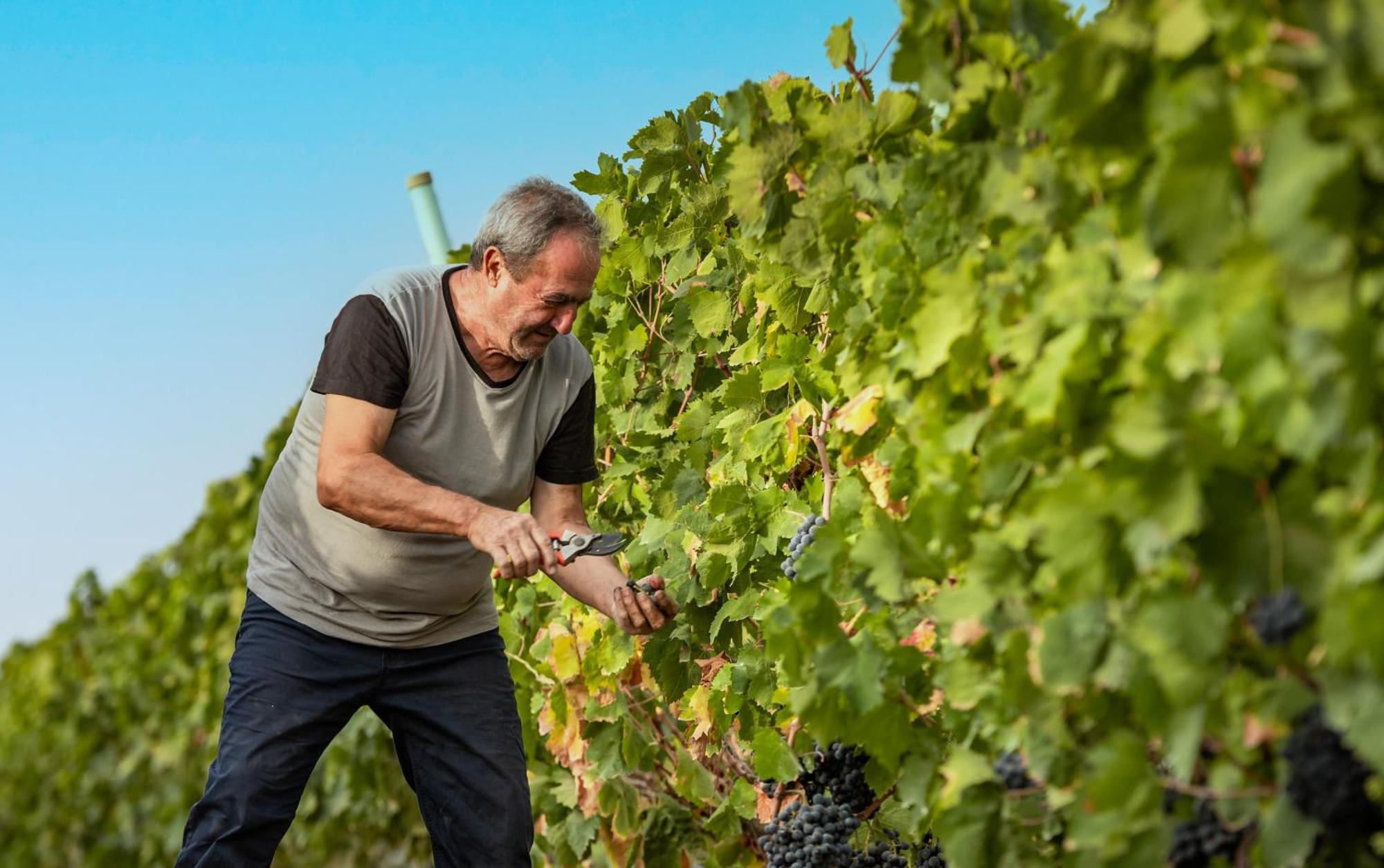 Agriturismo S'Incant'E Sinis San Salvatore  外观 照片